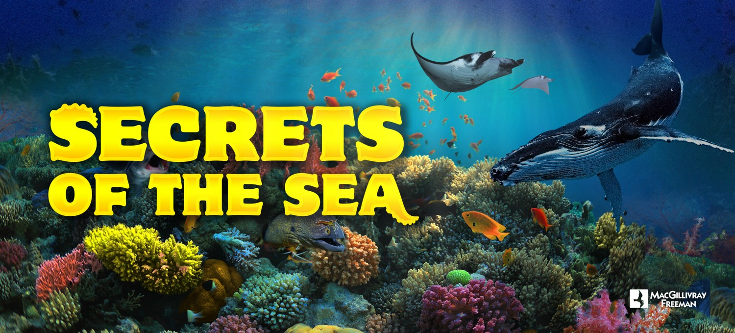 Secrets of the Sea