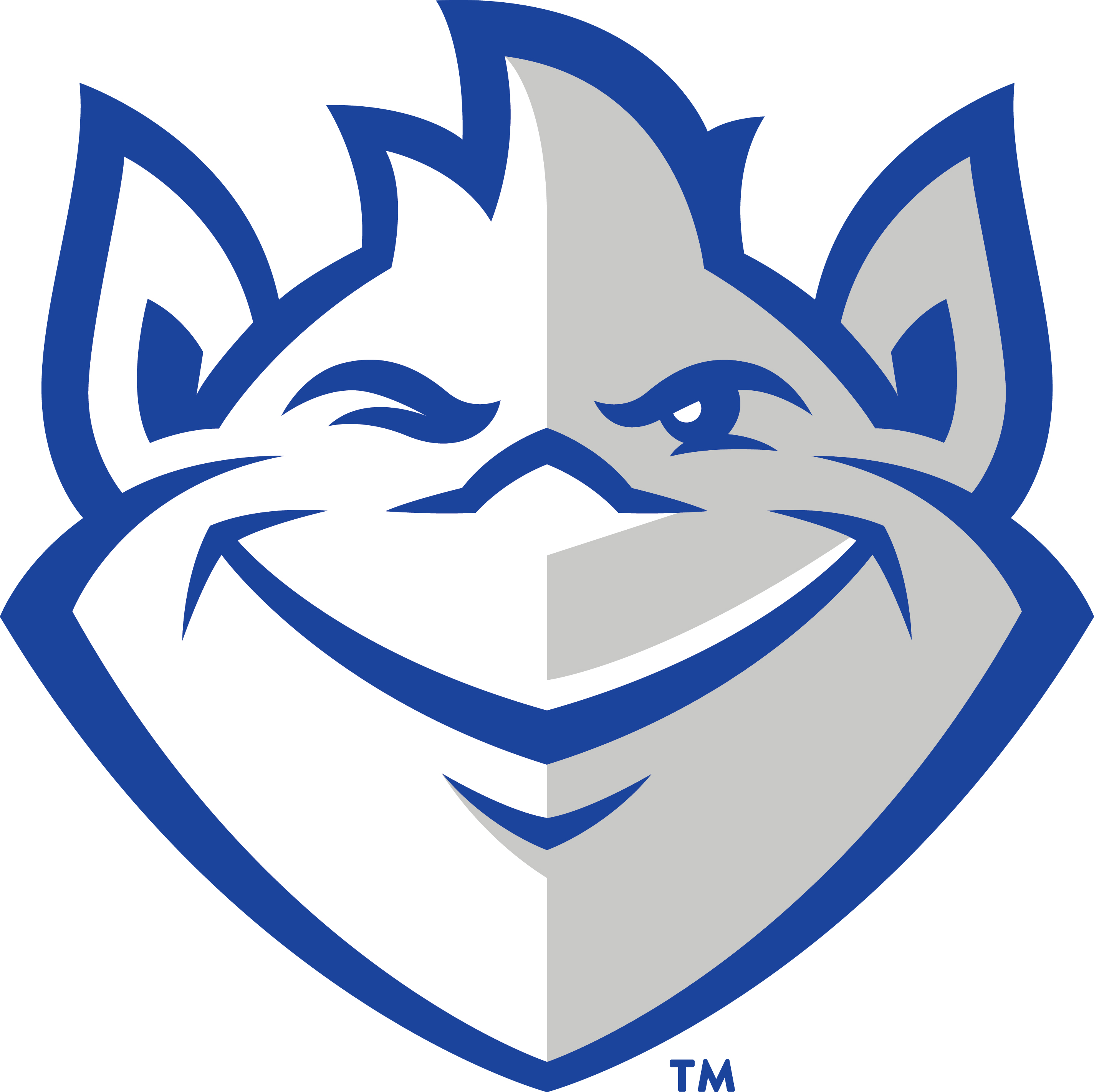 Saint Louis University logo