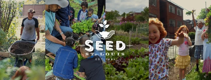 Seed St. Louis